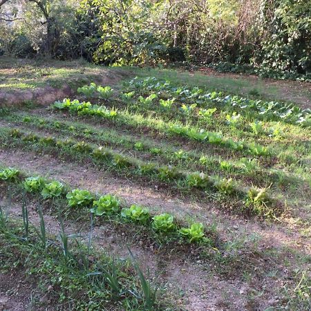 Umbria In Bike B&B 폴리뇨 외부 사진