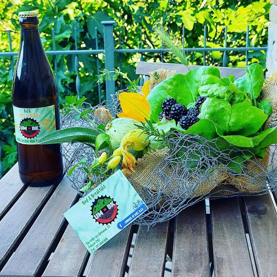 Umbria In Bike B&B 폴리뇨 외부 사진