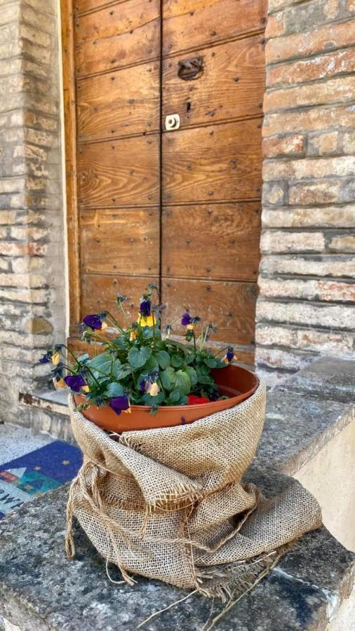 Umbria In Bike B&B 폴리뇨 외부 사진