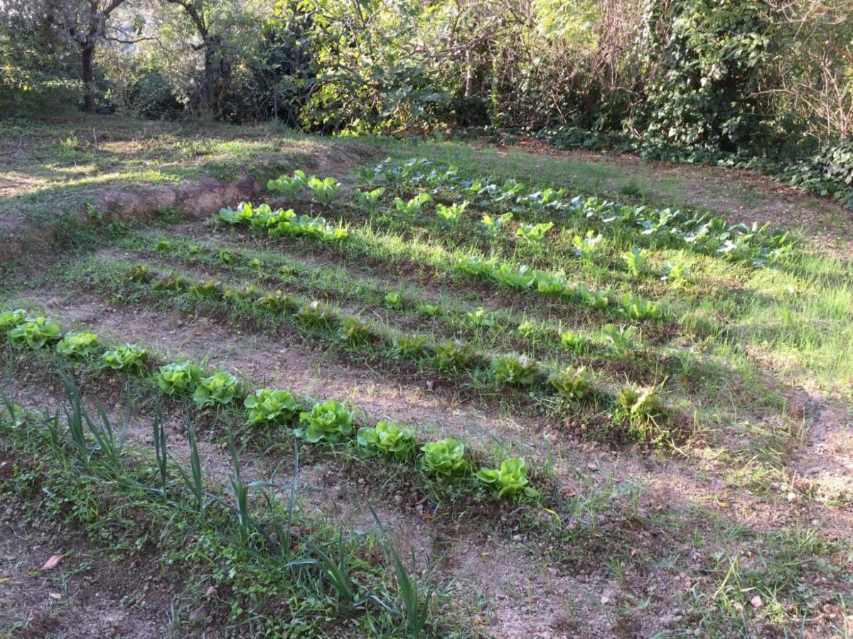 Umbria In Bike B&B 폴리뇨 외부 사진